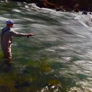 Meet your Posher, Allan